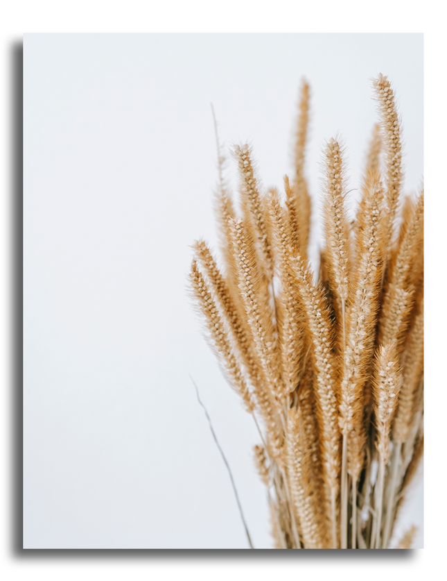 tableau champs de blé