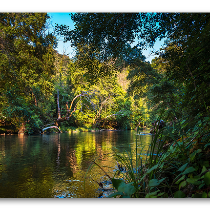 Tableau Jungle Lake - Tableau Nature