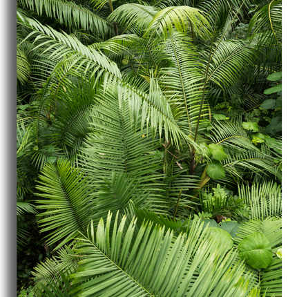 Tableau Jungle